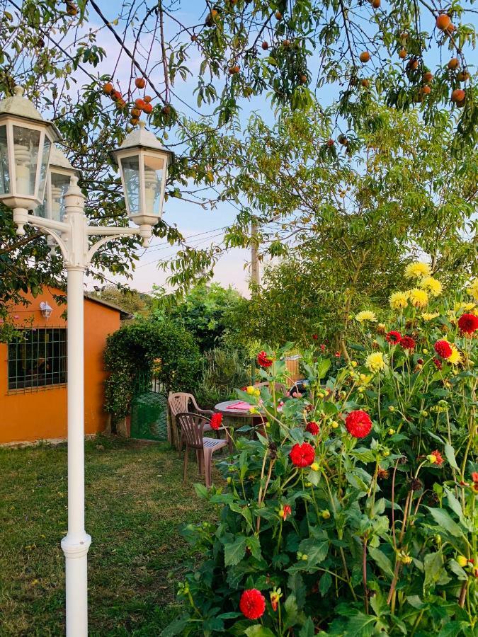 Vivienda Vacacional El Majo Siero エクステリア 写真